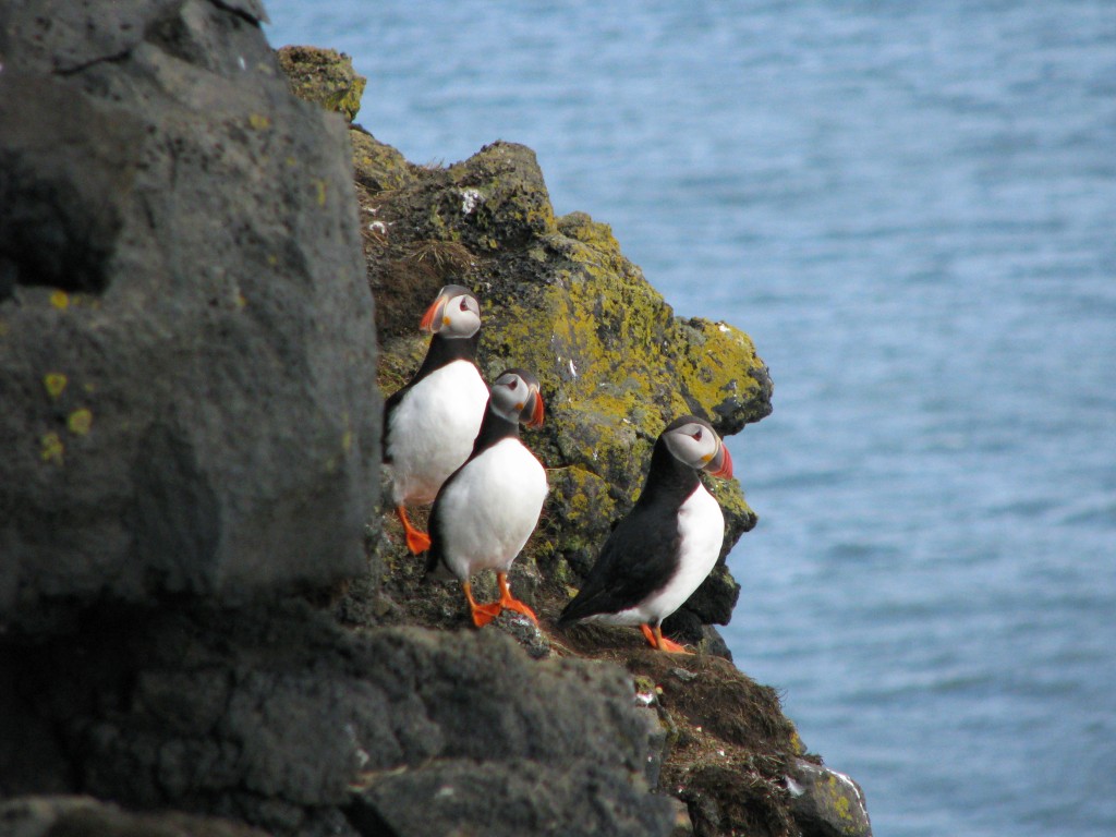 Voyage en Islande du 10 au 25 août 2012