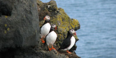 Voyage en Islande du 10 au 25 août 2012