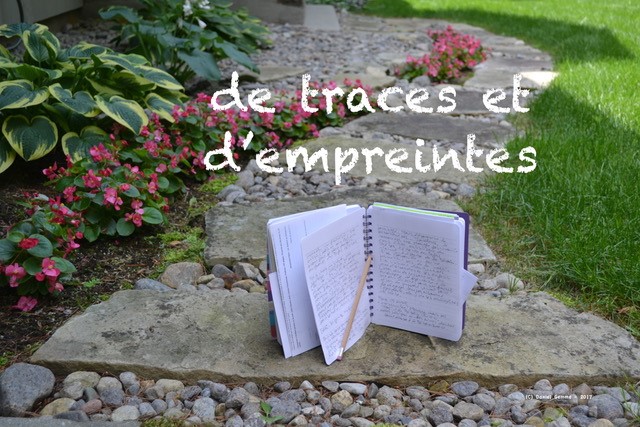 traces-et-empreintes_photo