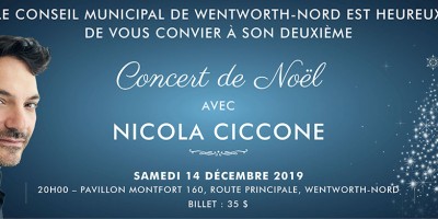 nicola-ciccone-noel-01