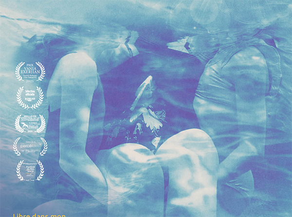 les-eaux-calmes-image