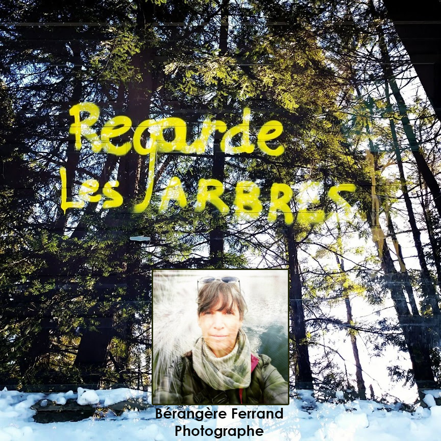 expo-berangere-ferrand