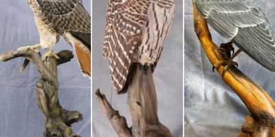 expo-2026-07-03-au-26-yvan-dufour-carre