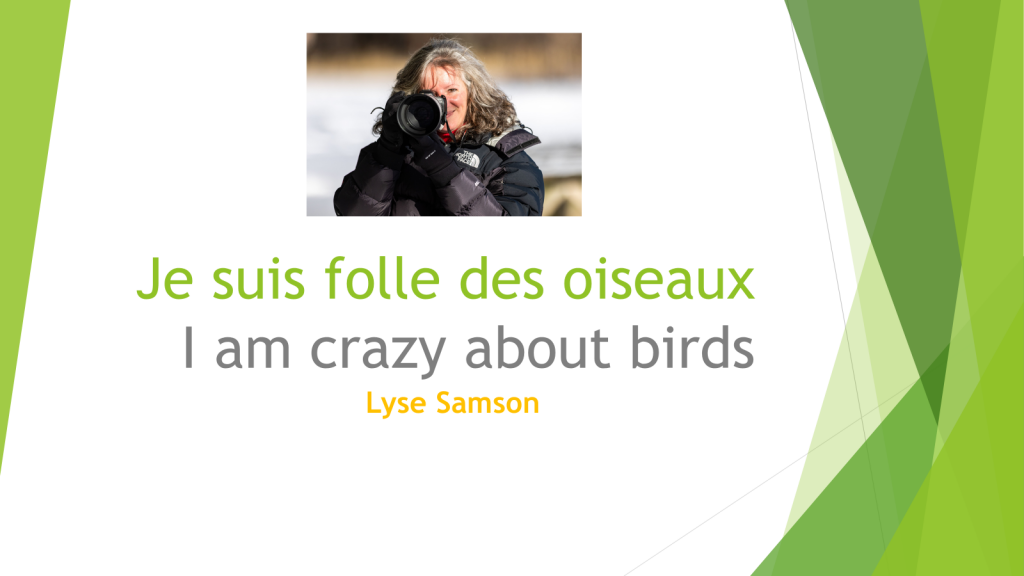 folledesoiseaux