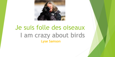 folledesoiseaux