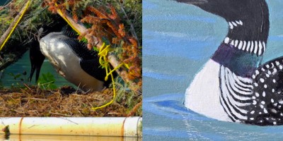 omhb20260328tableronde