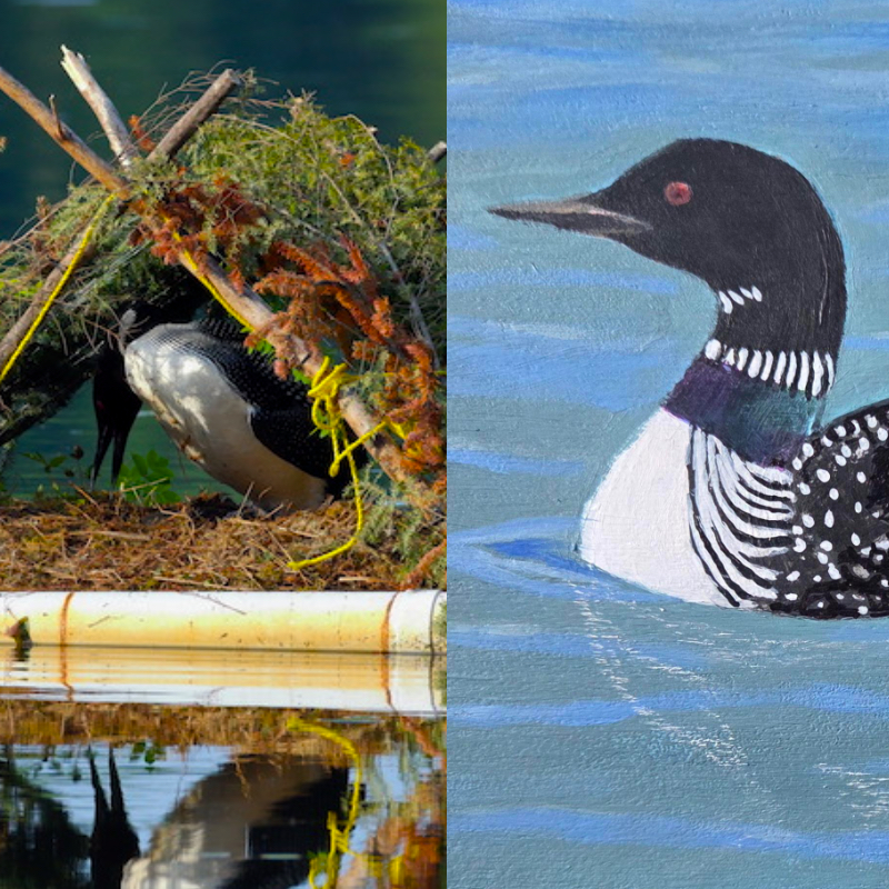 omhb20260328tableronde