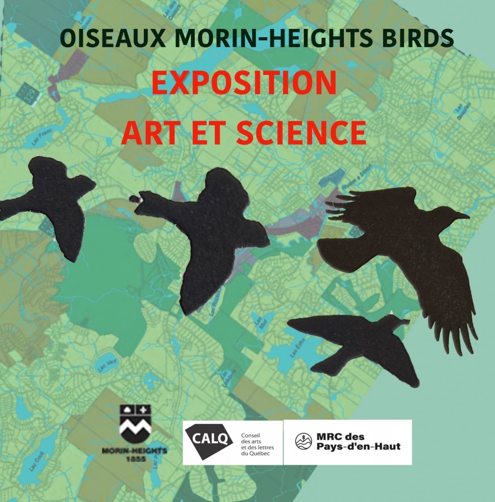 elizabeth_whalley_oiseauxmhbirds_exposition