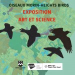 elizabeth_whalley_oiseauxmhbirds_exposition