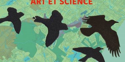 elizabeth_whalley_oiseauxmhbirds_exposition